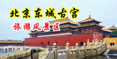 啊好爽啊又黑又粗的大鸡巴插进来了射了好多精液视频中国北京-东城古宫旅游风景区